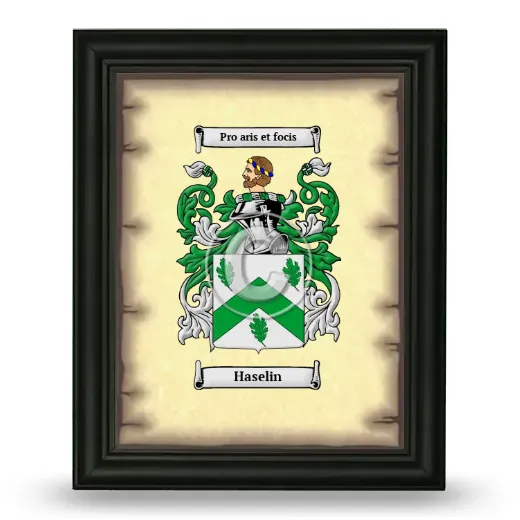 Haselin Coat of Arms Framed - Black