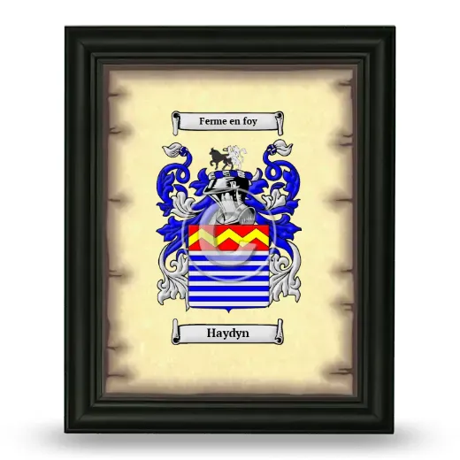 Haydyn Coat of Arms Framed - Black