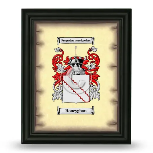 Honeyghan Coat of Arms Framed - Black