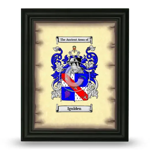 Igulden Coat of Arms Framed - Black