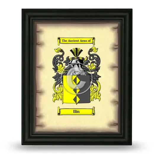 Ilin Coat of Arms Framed - Black