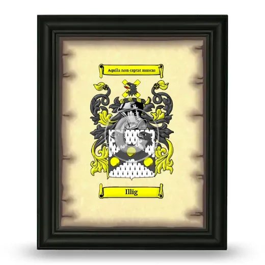 Illig Coat of Arms Framed - Black