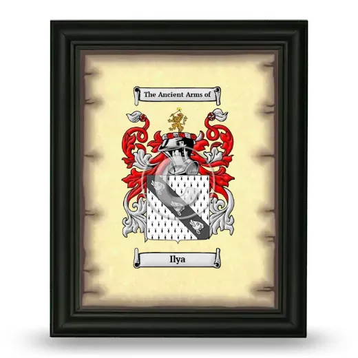 Ilya Coat of Arms Framed - Black