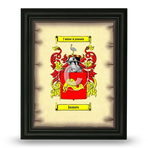 James Coat of Arms Framed - Black