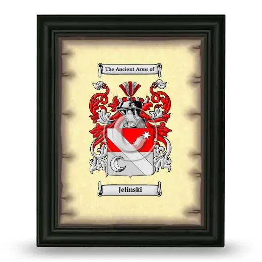 Jelinski Coat of Arms Framed - Black