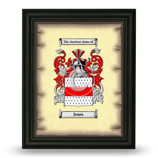 Jenes Coat of Arms Framed - Black