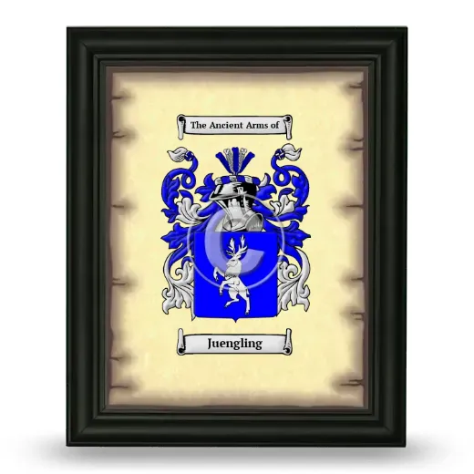 Juengling Coat of Arms Framed - Black