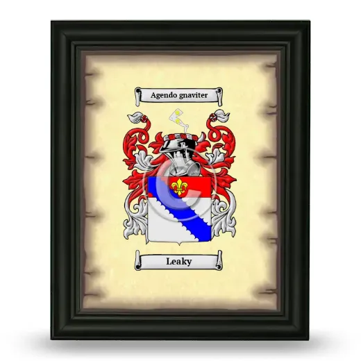 Leaky Coat of Arms Framed - Black