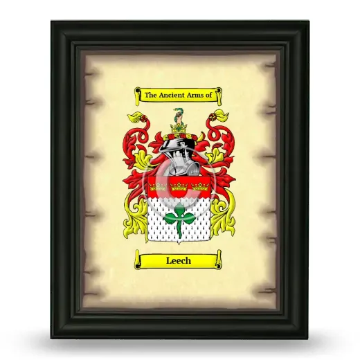 Leech Coat of Arms Framed - Black