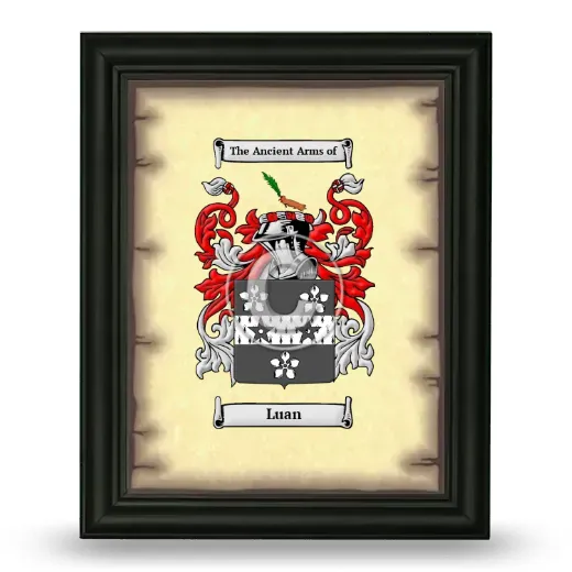 Luan Coat of Arms Framed - Black