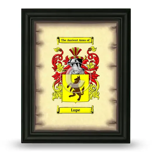 Lupe Coat of Arms Framed - Black