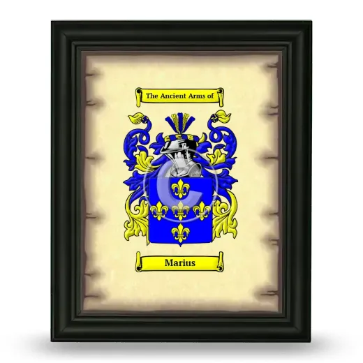Marius Coat of Arms Framed - Black