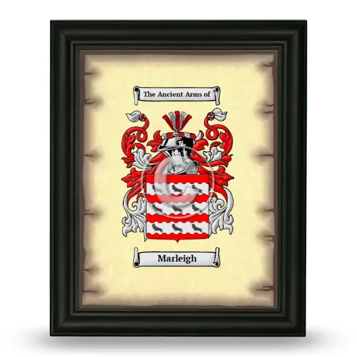 Marleigh Coat of Arms Framed - Black