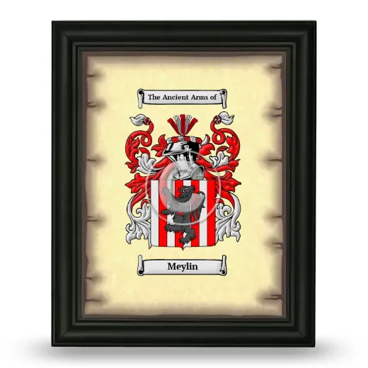 Meylin Coat of Arms Framed - Black