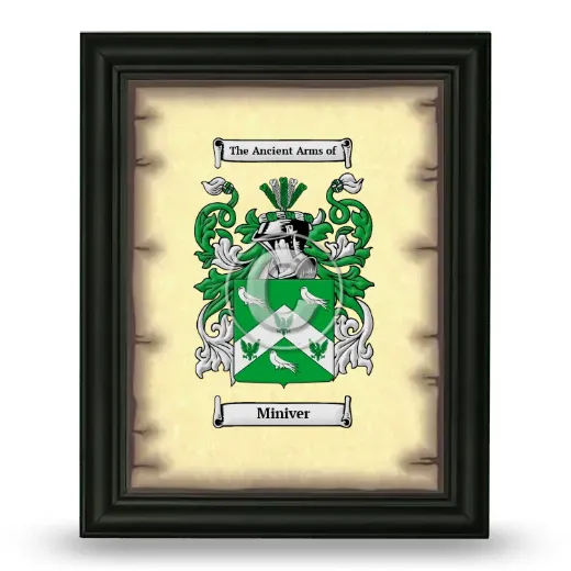 Miniver Coat of Arms Framed - Black