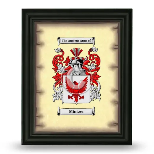 Mintzer Coat of Arms Framed - Black
