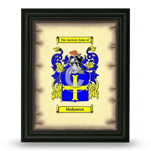 Molyneux Coat of Arms Framed - Black