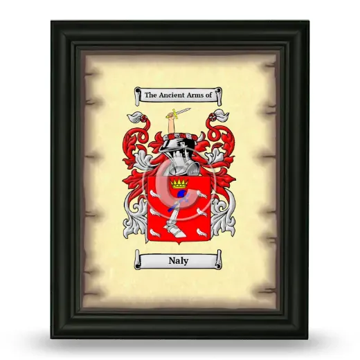 Naly Coat of Arms Framed - Black