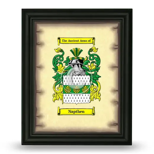 Napthen Coat of Arms Framed - Black
