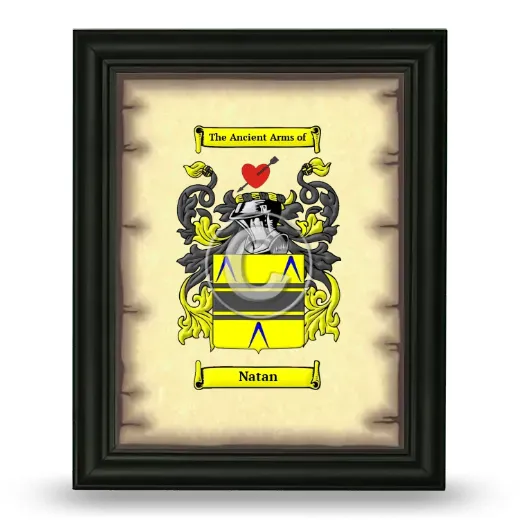 Natan Coat of Arms Framed - Black