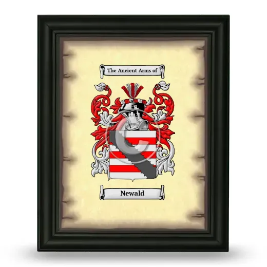 Newald Coat of Arms Framed - Black