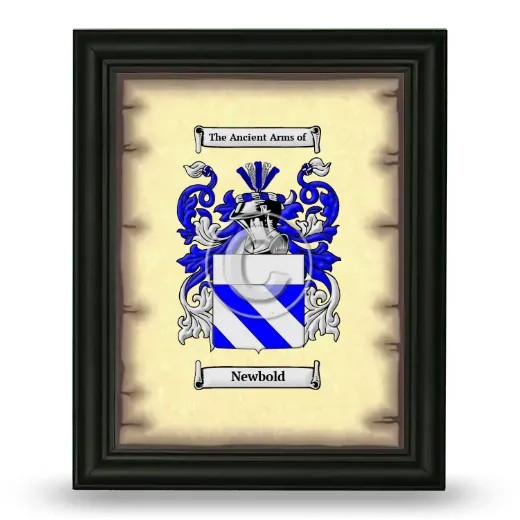 Newbold Coat of Arms Framed - Black