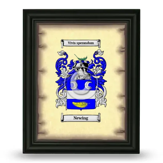 Newing Coat of Arms Framed - Black