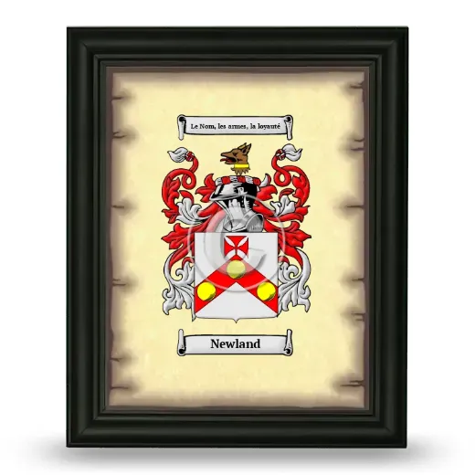 Newland Coat of Arms Framed - Black