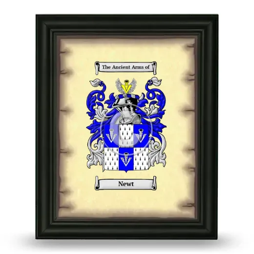 Newt Coat of Arms Framed - Black