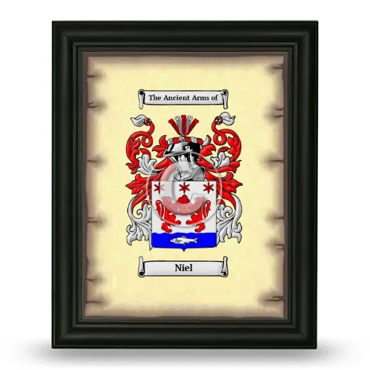 Niel Coat of Arms Framed - Black