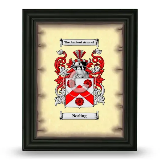 Norling Coat of Arms Framed - Black