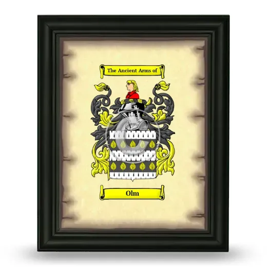 Olm Coat of Arms Framed - Black