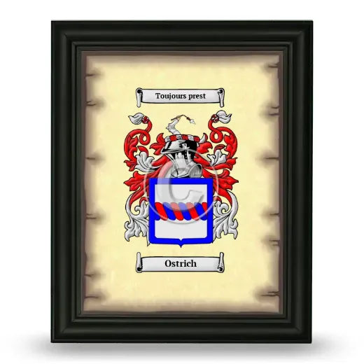 Ostrich Coat of Arms Framed - Black