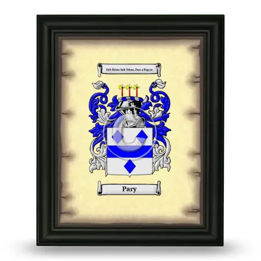 Pary Coat of Arms Framed - Black