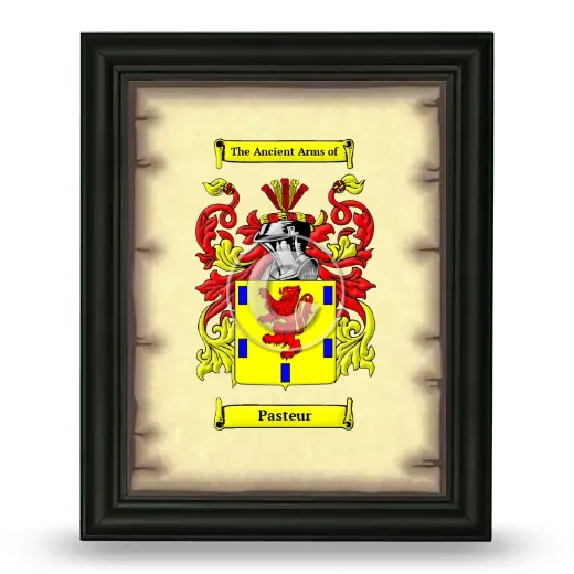 Pasteur Coat of Arms Framed - Black