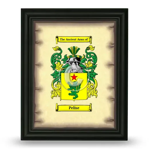 Pelise Coat of Arms Framed - Black