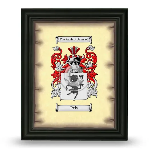 Pels Coat of Arms Framed - Black