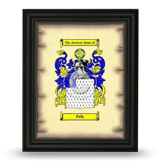 Pels Coat of Arms Framed - Black