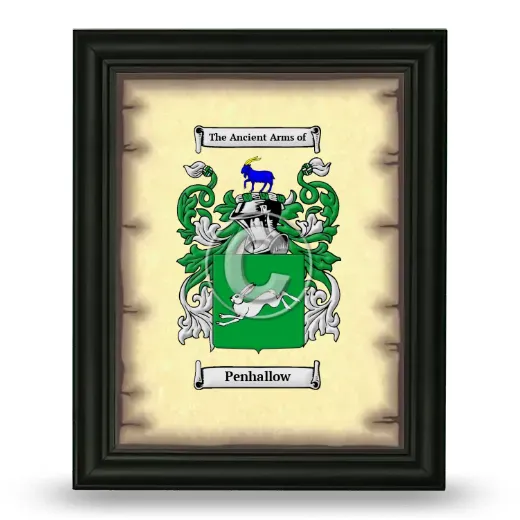 Penhallow Coat of Arms Framed - Black