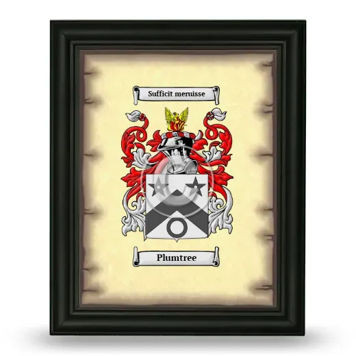 Plumtree Coat of Arms Framed - Black