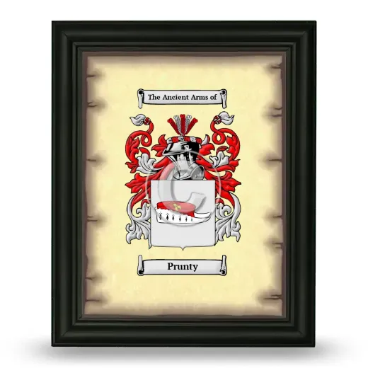 Prunty Coat of Arms Framed - Black