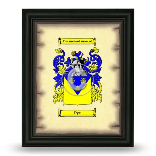 Pye Coat of Arms Framed - Black