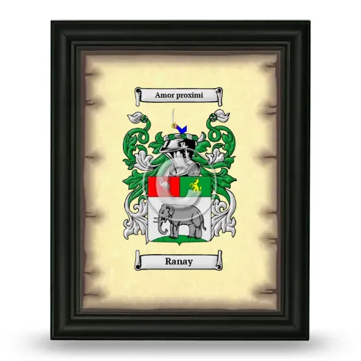 Ranay Coat of Arms Framed - Black