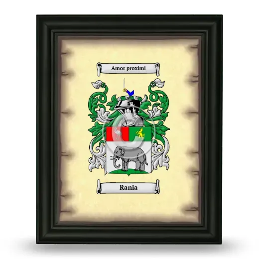 Rania Coat of Arms Framed - Black