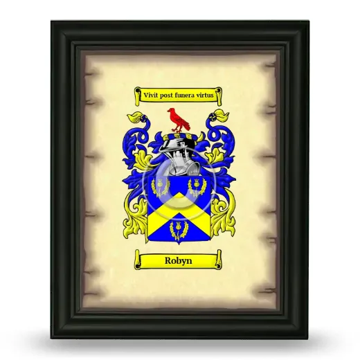Robyn Coat of Arms Framed - Black