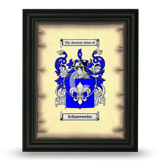 Schneeweiss Coat of Arms Framed - Black