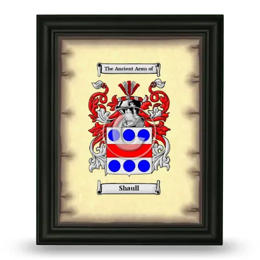 Shaull Coat of Arms Framed - Black