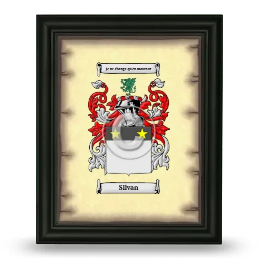 Silvan Coat of Arms Framed - Black