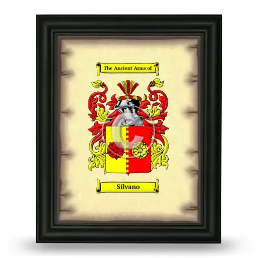 Silvano Coat of Arms Framed - Black