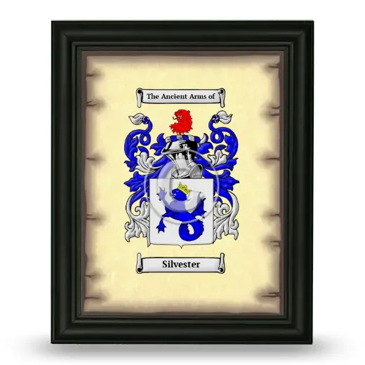 Silvester Coat of Arms Framed - Black